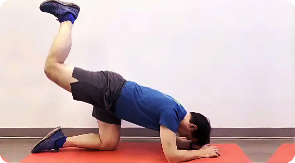 Exercises For Core Development - Healthy Back